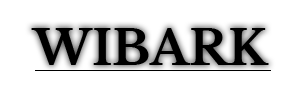 Logo firmy